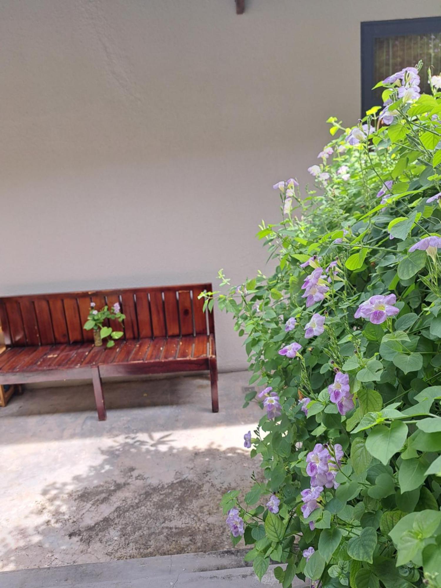 Golden Lotus Spa & Homestay Ap Thien Phuoc Kültér fotó