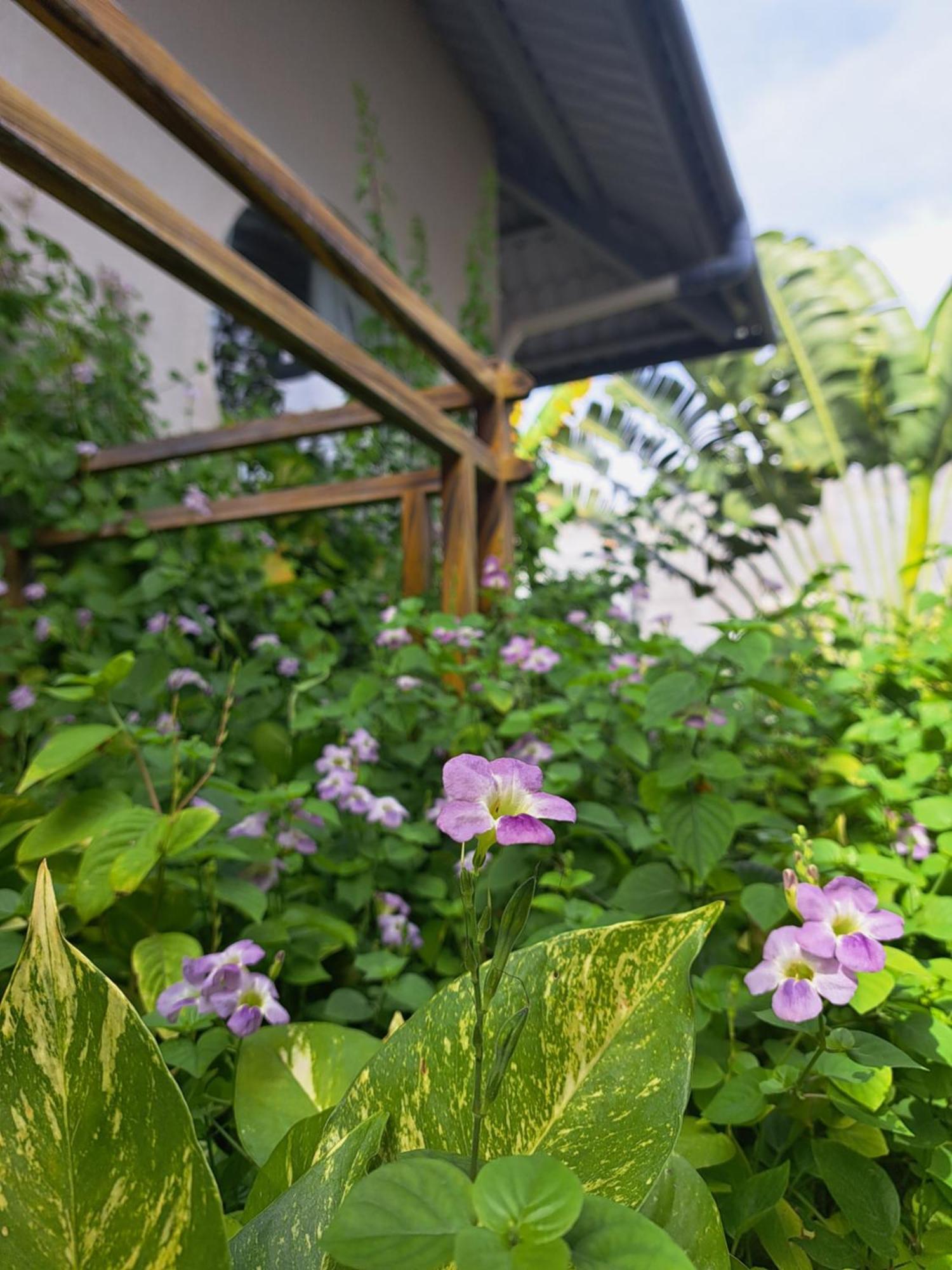 Golden Lotus Spa & Homestay Ap Thien Phuoc Kültér fotó
