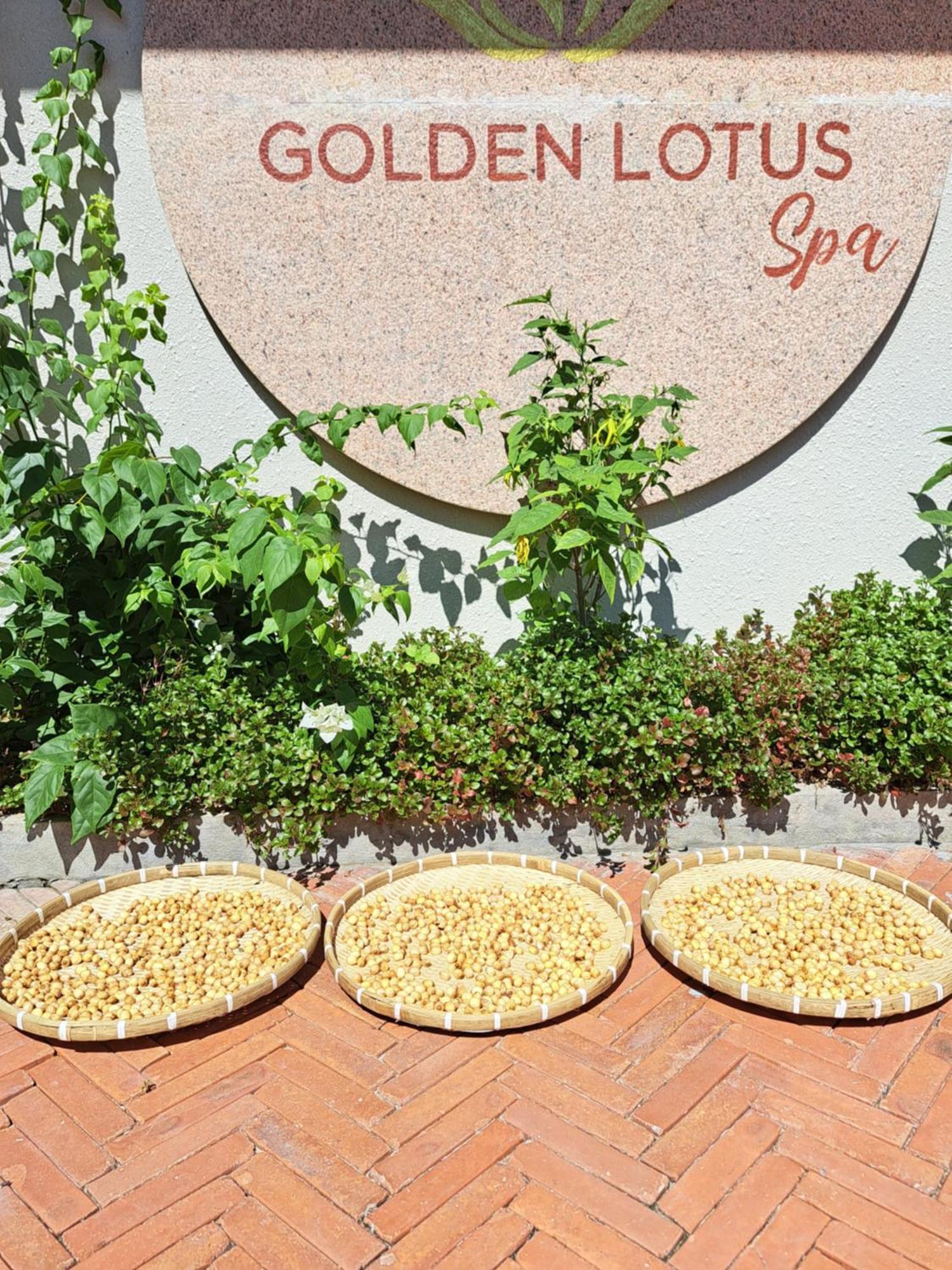 Golden Lotus Spa & Homestay Ap Thien Phuoc Kültér fotó